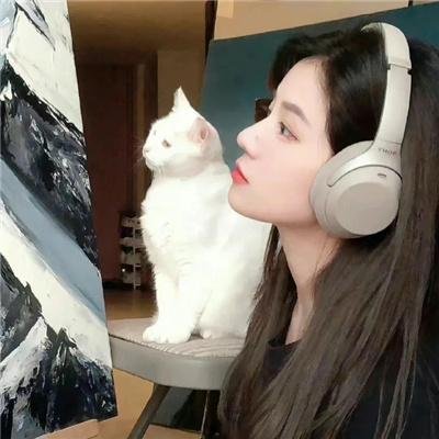 合金杀手